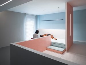宠物与主人空间