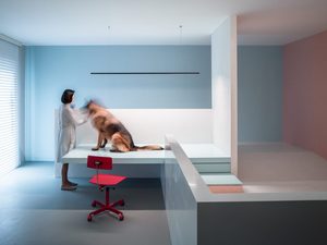主人与爱犬空间