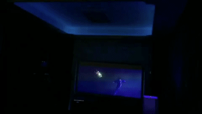 1.gif